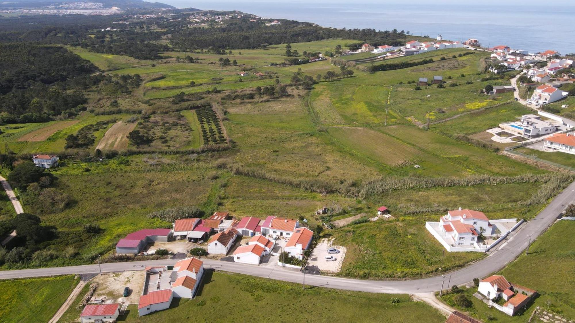 Casas Com Amoras In Serra Da Pescaria Famalicao Экстерьер фото